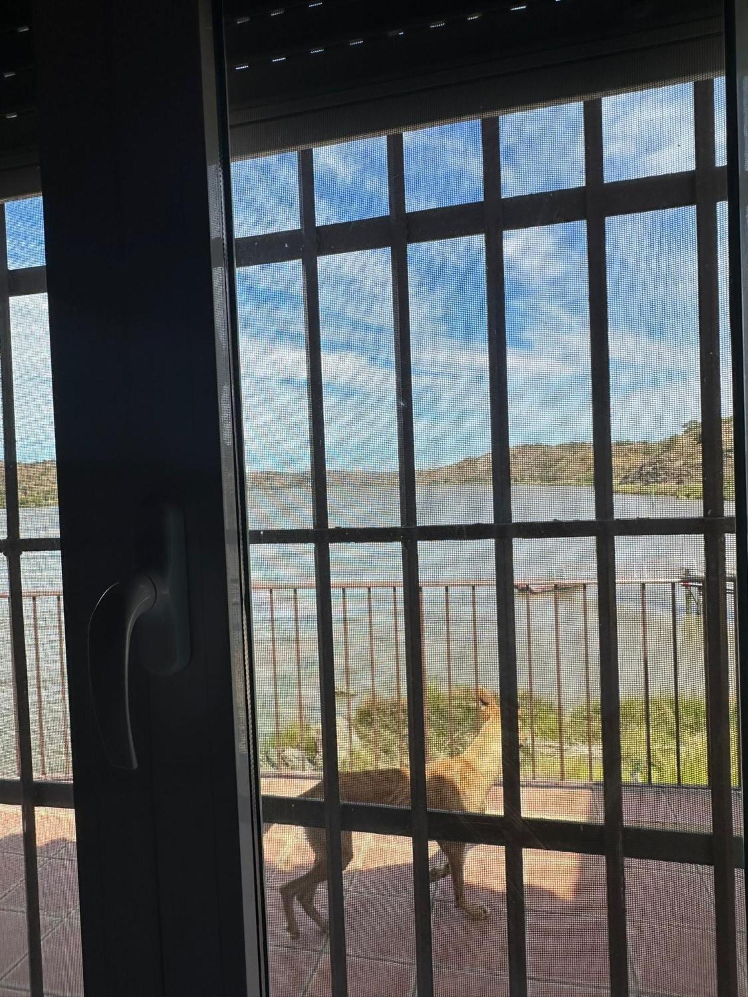 Magnifica Casa A Orillas Del Guadiana Huelva Bagian luar foto